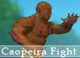 Caopeira Fight
